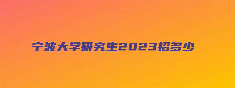 宁波大学研究生2023招多少