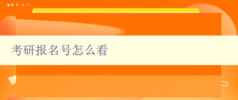 考研报名号怎么看