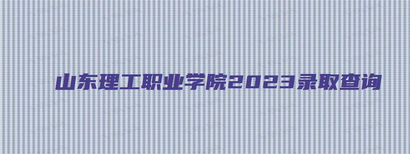 山东理工职业学院2023录取查询