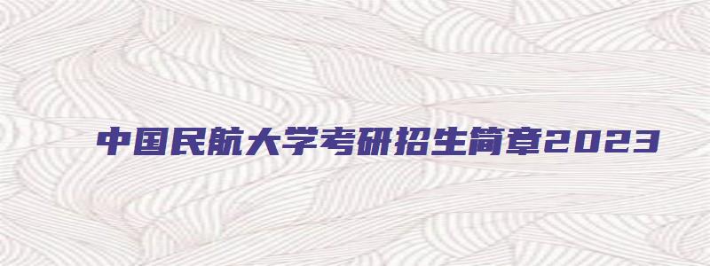 中国民航大学考研招生简章2023