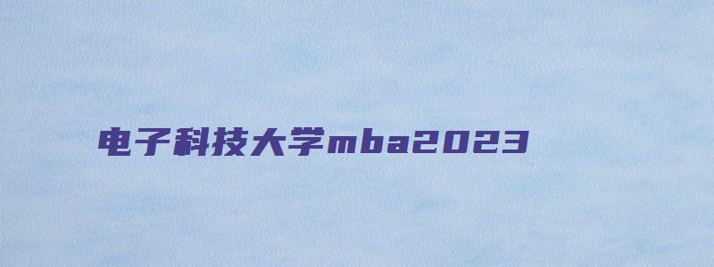 电子科技大学mba2023