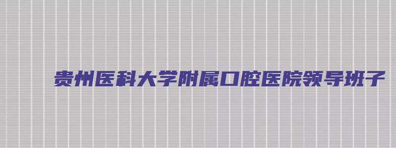 贵州医科大学附属口腔医院领导班子