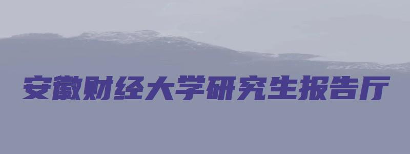 安徽财经大学研究生报告厅