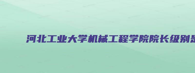 河北工业大学机械工程学院院长级别是什么