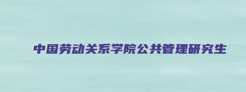 中国劳动关系学院公共管理研究生