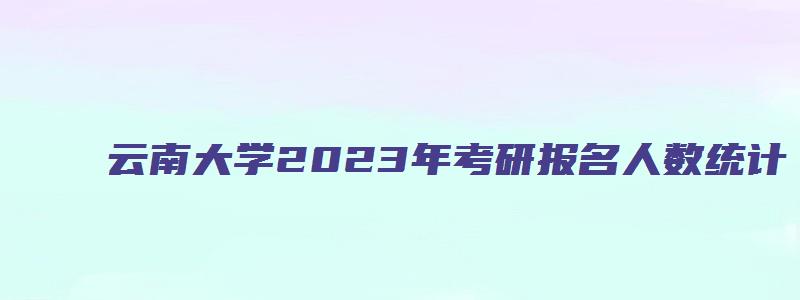 云南大学2023年考研报名人数统计