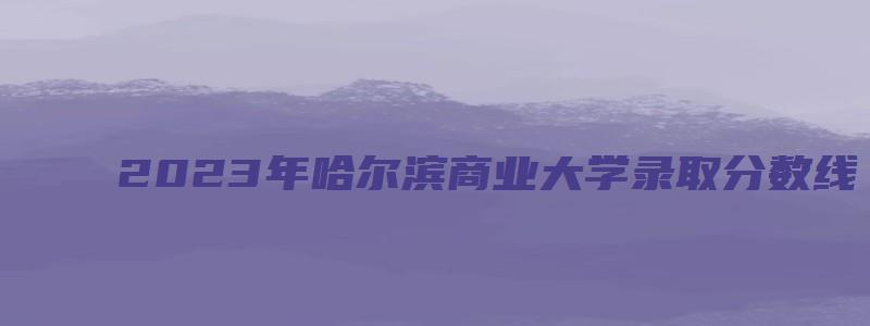 2023年哈尔滨商业大学录取分数线