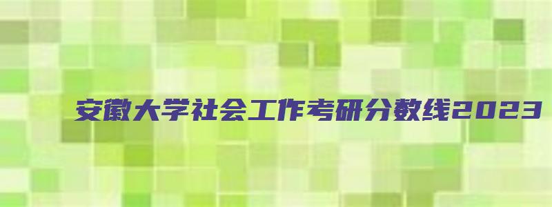 安徽大学社会工作考研分数线2023