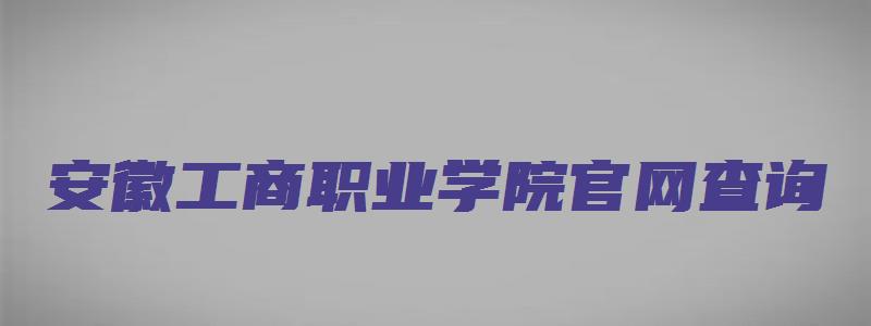 安徽工商职业学院官网查询