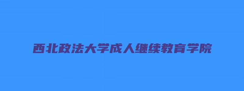 西北政法大学成人继续教育学院