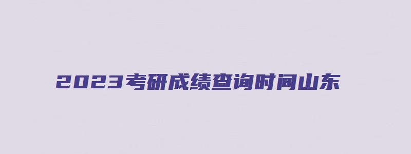 2023考研成绩查询时间山东