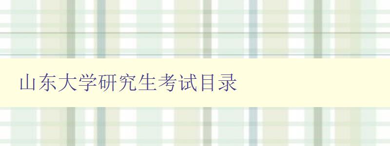 山东大学研究生考试目录