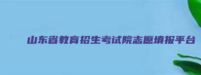 山东省教育招生考试院志愿填报平台