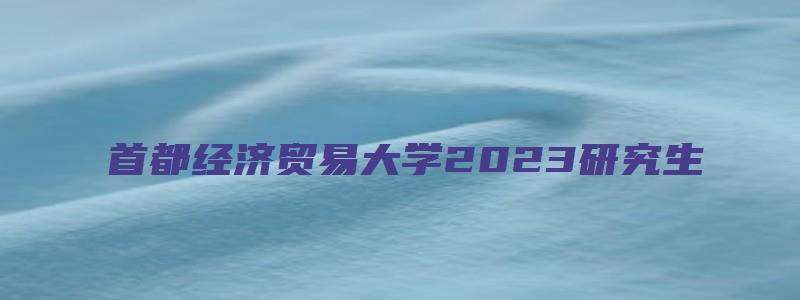 首都经济贸易大学2023研究生