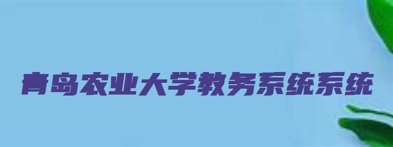 青岛农业大学教务系统系统