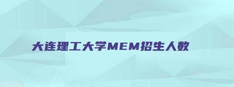 大连理工大学MEM招生人数