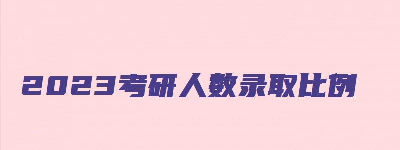 2023考研人数录取比例