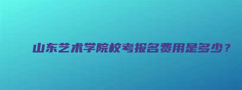 山东艺术学院校考报名费用是多少？