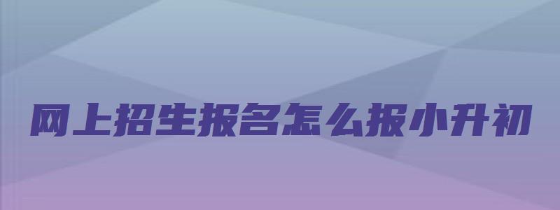 网上招生报名怎么报小升初