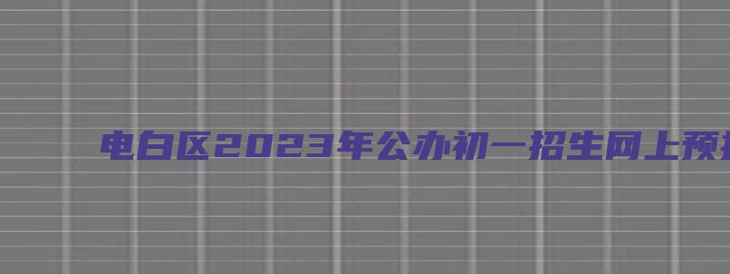 电白区2023年公办初一招生网上预报名