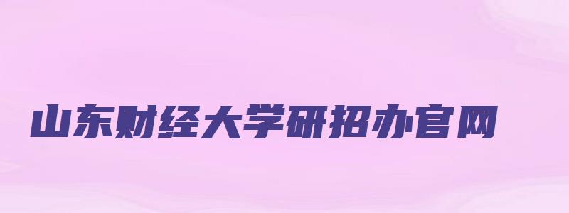 山东财经大学研招办官网