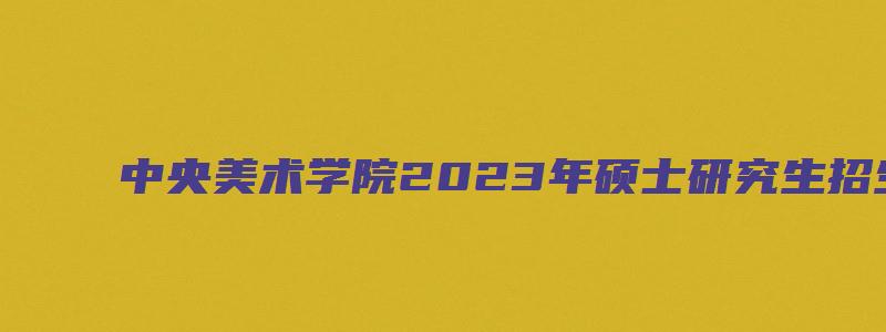 中央美术学院2023年硕士研究生招生简章及答案