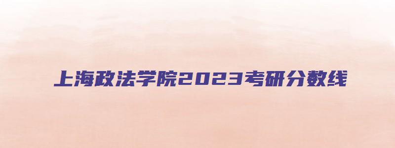 上海政法学院2023考研分数线