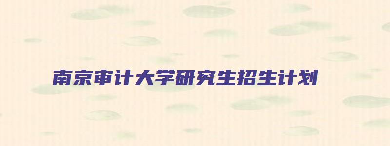 南京审计大学研究生招生计划