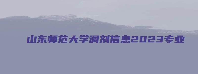 山东师范大学调剂信息2023专业