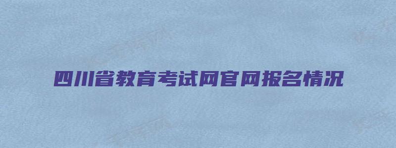 四川省教育考试网官网报名情况