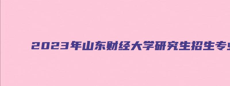 2023年山东财经大学研究生招生专业目录