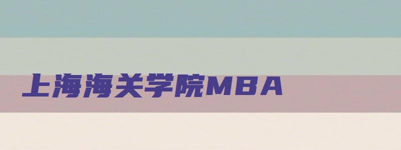 上海海关学院MBA