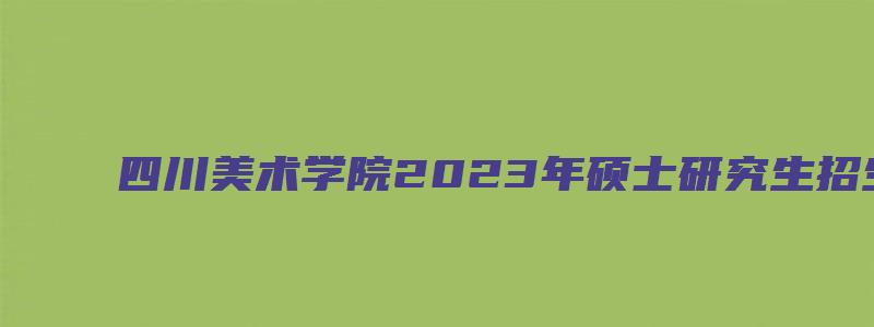 四川美术学院2023年硕士研究生招生简章