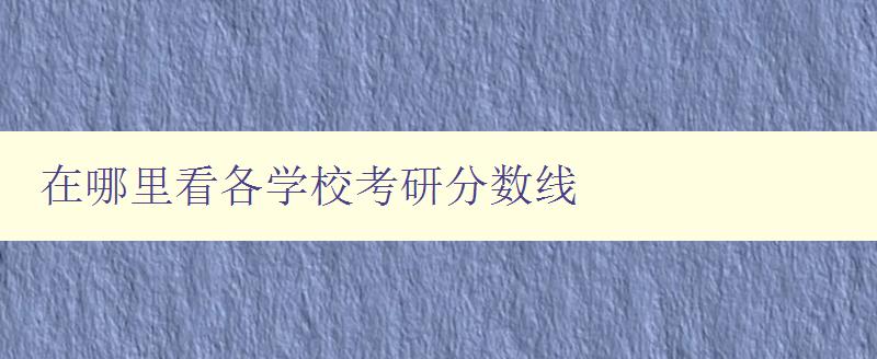 在哪里看各学校考研分数线