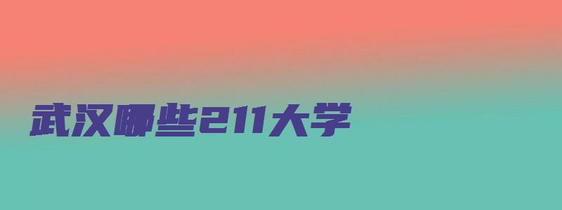 武汉哪些211大学