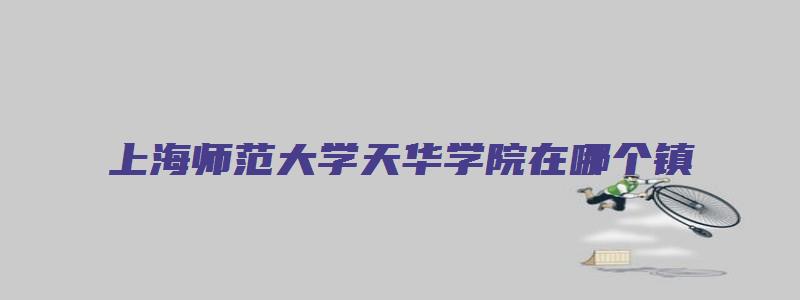 上海师范大学天华学院在哪个镇