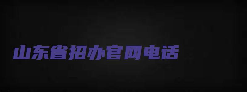 山东省招办官网电话