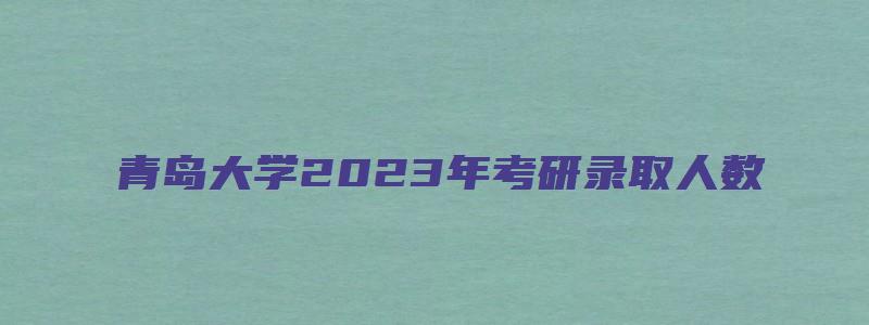 青岛大学2023年考研录取人数