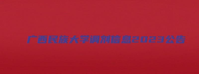 广西民族大学调剂信息2023公告