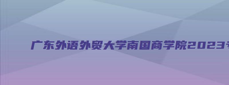 广东外语外贸大学南国商学院2023专升本