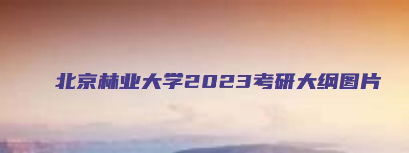 北京林业大学2023考研大纲图片