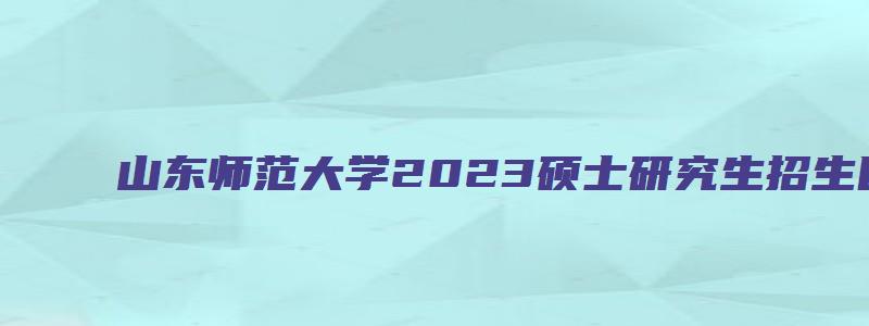 山东师范大学2023硕士研究生招生目录