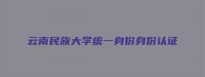 云南民族大学统一身份身份认证