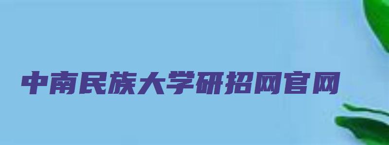 中南民族大学研招网官网