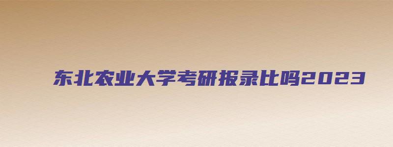 东北农业大学考研报录比吗2023