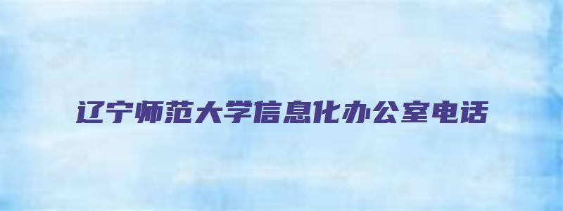 辽宁师范大学信息化办公室电话