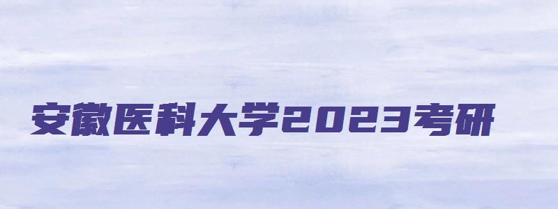 安徽医科大学2023考研