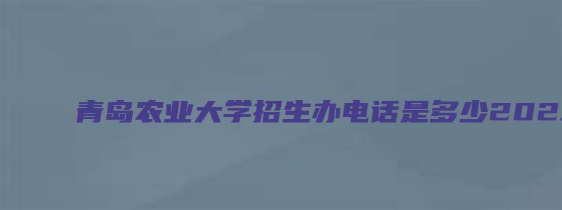 青岛农业大学招生办电话是多少2023