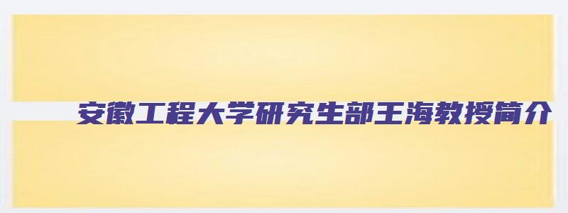 安徽工程大学研究生部王海教授简介