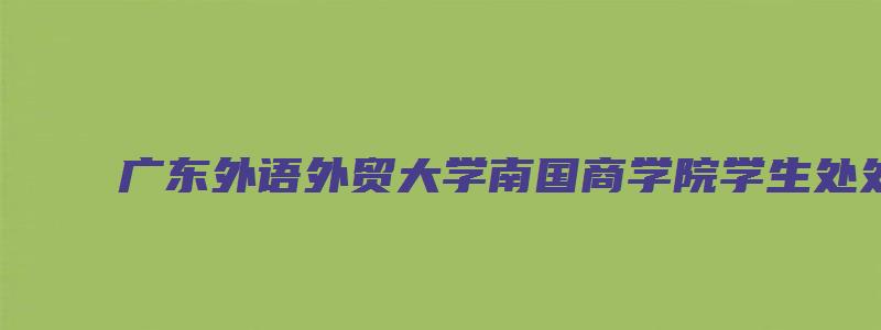 广东外语外贸大学南国商学院学生处处长